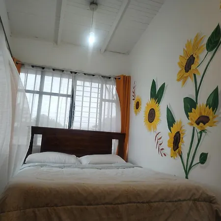 Rainforest Guesthouse